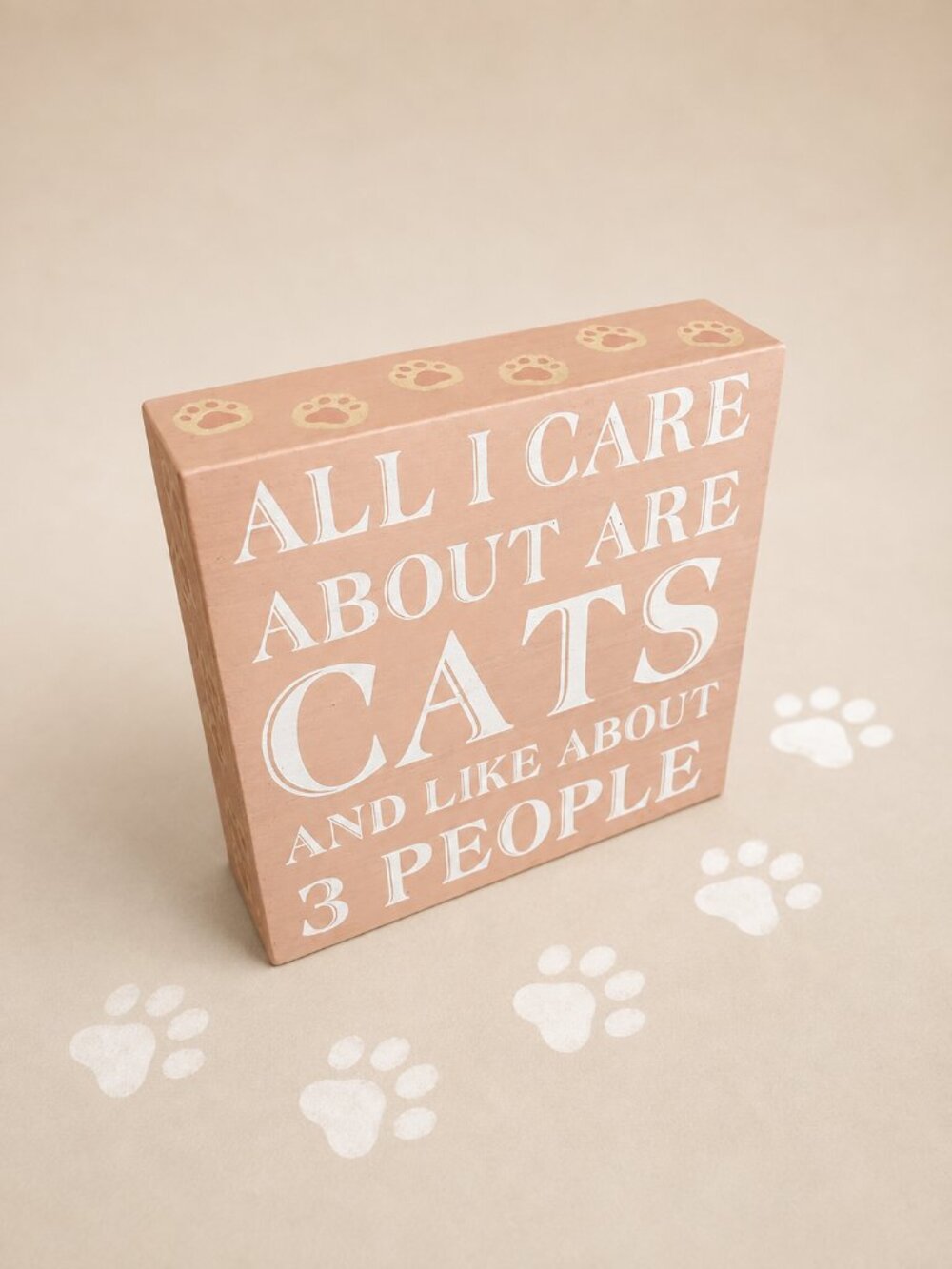 Cat Meme Wood Wall/Desk Decor